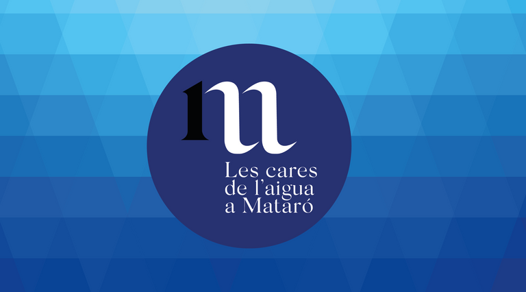 imatge de l'acte
